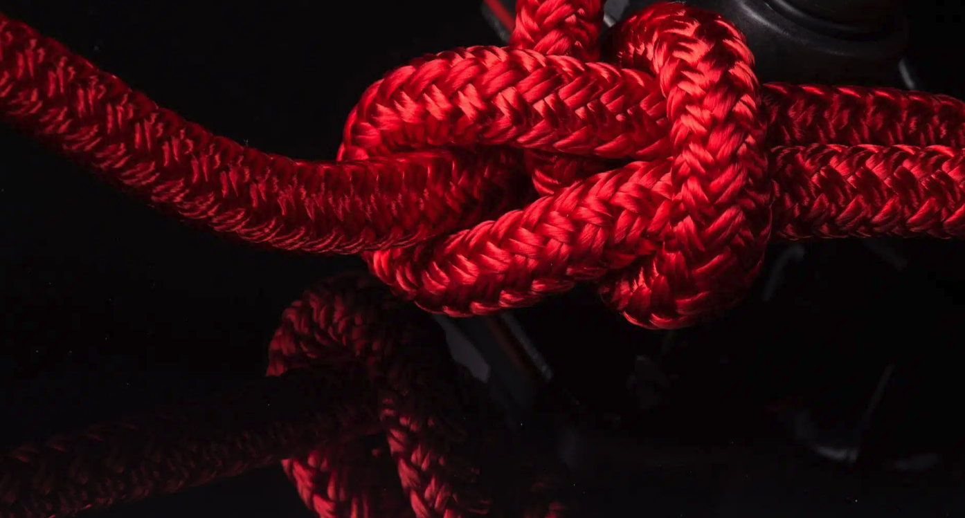 BRAIDLINE 961 — Écoute polyester double tresse Ø 12 mm